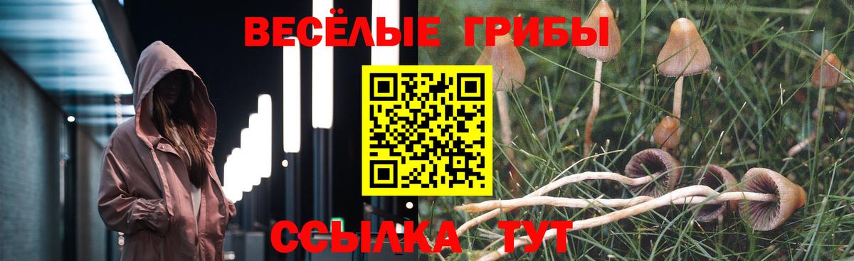 Псилоцибиновые грибы прущие грибы Петропавловск-Камчатский