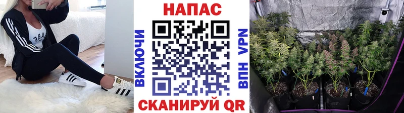 Марихуана Bruce Banner  Петропавловск-Камчатский 