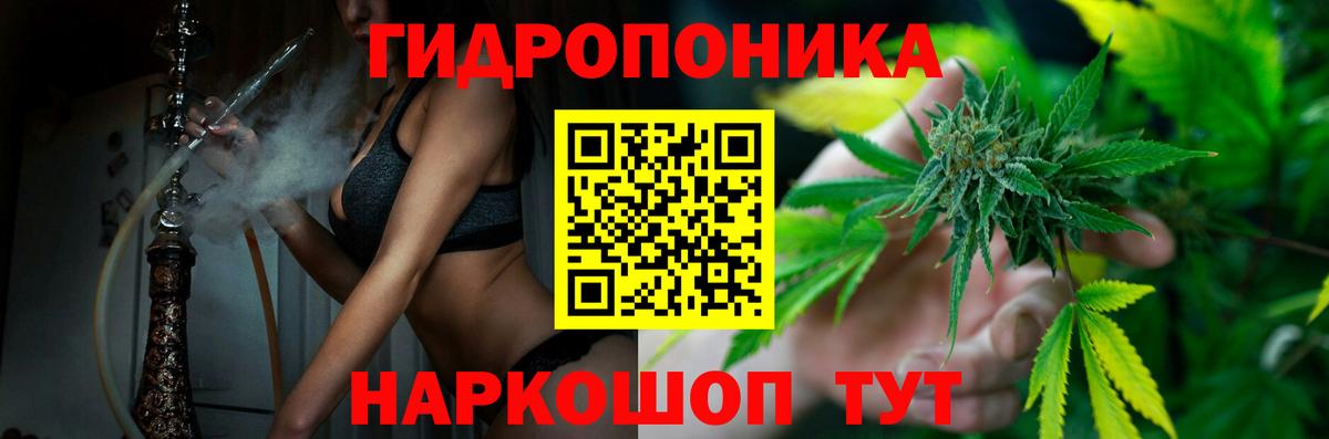 Конопля сатива Петропавловск-Камчатский